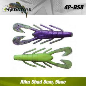 poza categorie Riku Shad  