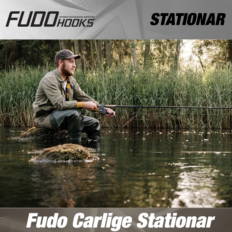 poza categorie Stationar